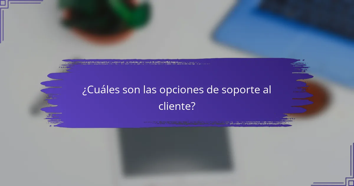 ¿Cuáles son las opciones de soporte al cliente?