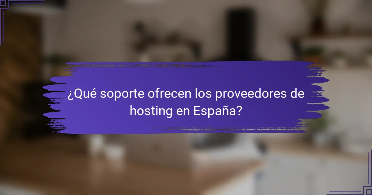 ¿Qué soporte ofrecen los proveedores de hosting en España?